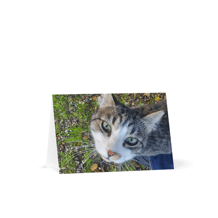 Banjo Says HELLO! product image (1)