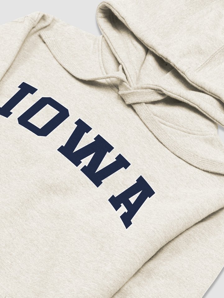 Iowa Vintage Stylish Unisex Premium Hoodie product image (2)