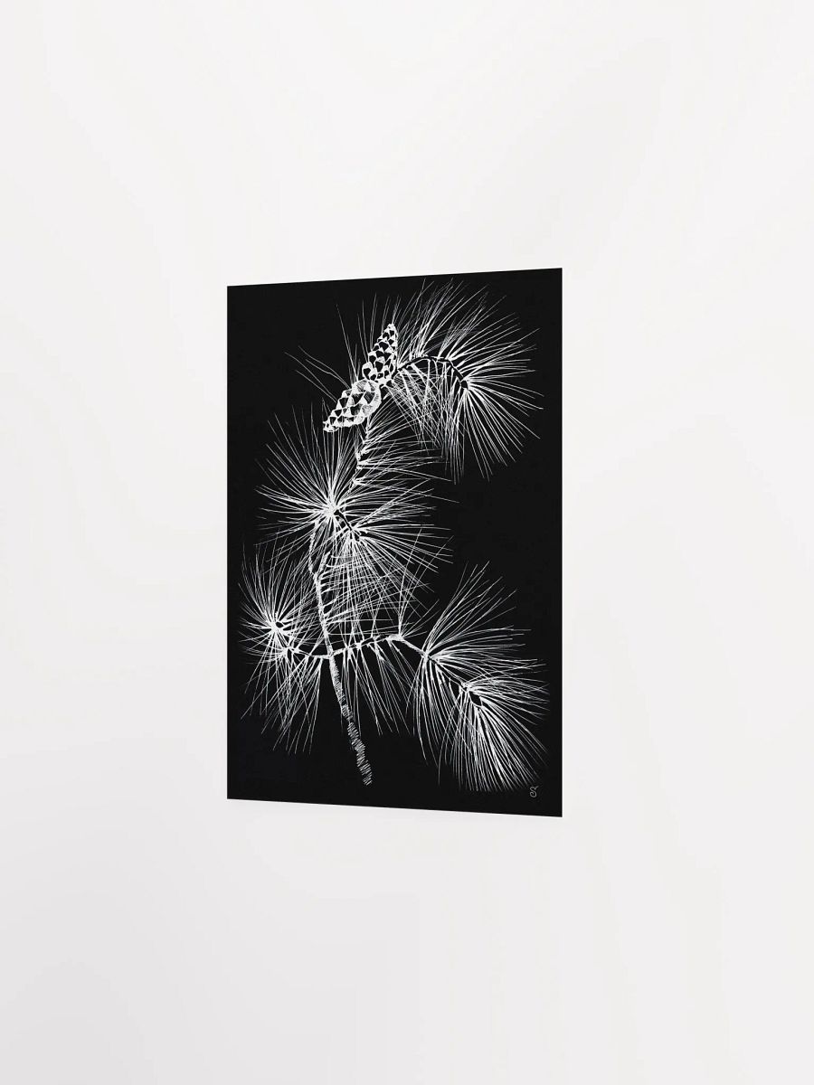 Vibrant Matte Paper Poster - Pine Branch and Cones product image (2)