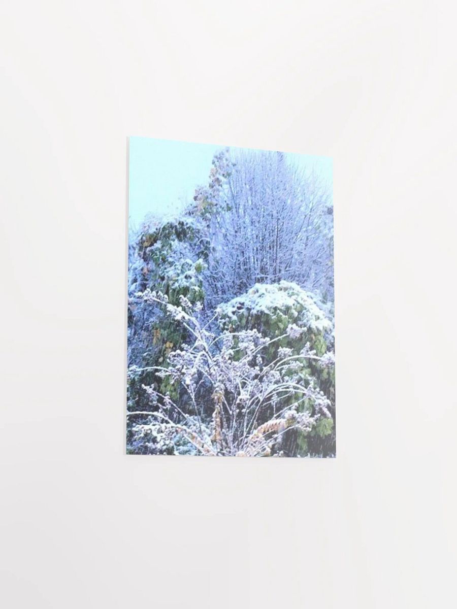 Georgia Winter product image (29)
