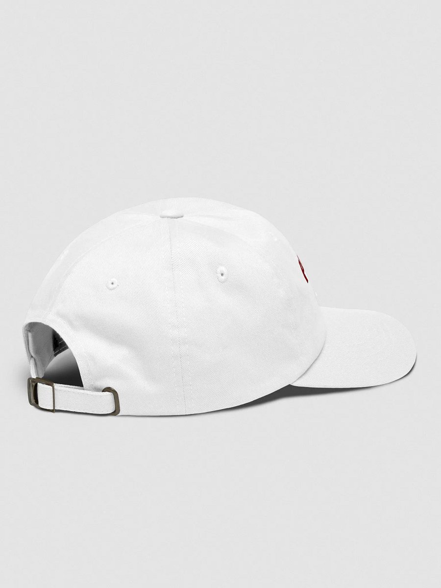 JazBaz Classic Dad Hat - Live in Comfort and Style! product image (7)