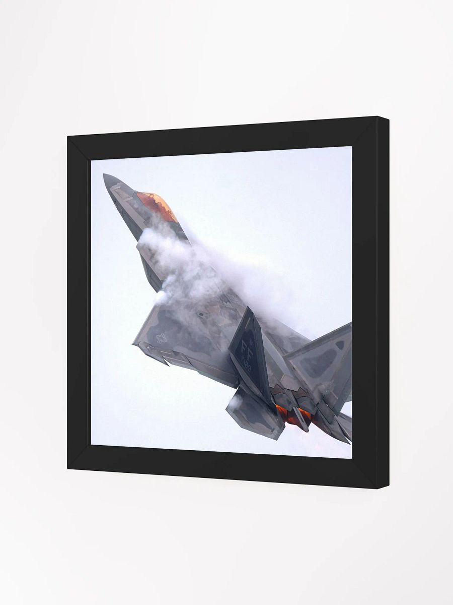 F-22 High G Turn product image (6)