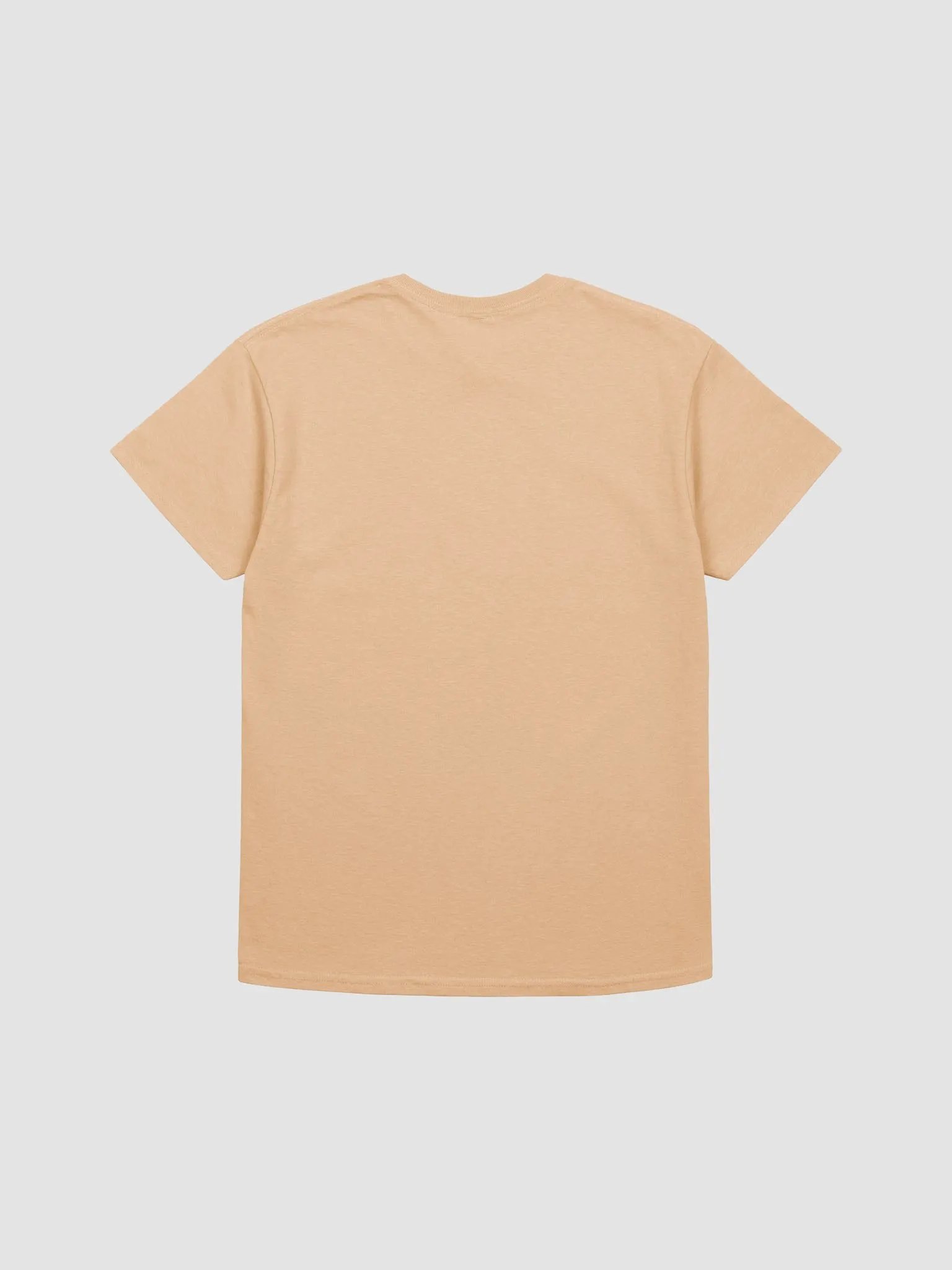 TTC Heavyweight T-Shirt Version #2 product image (3)