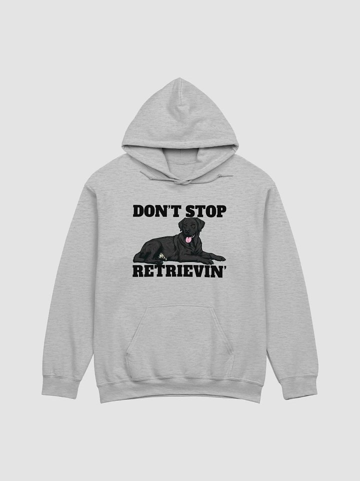 Don't Stop Retrievin' Hooded Sweatshirt of a Labrador Retriever(Black) | Funny Hoodie for Lab Paw-rents product image (1)