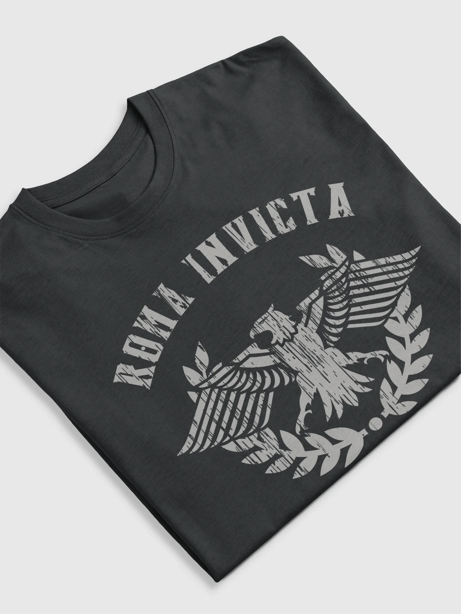 Roma Invicta Gym Gear Heavy Tee product image (33)