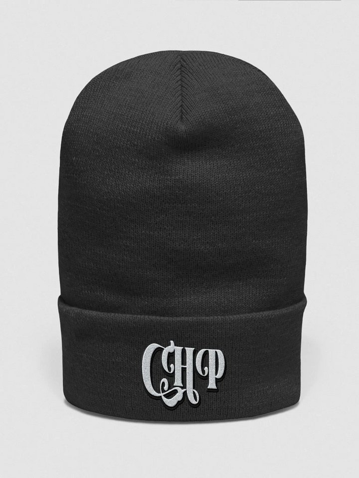 chapterplus beanie product image (1)