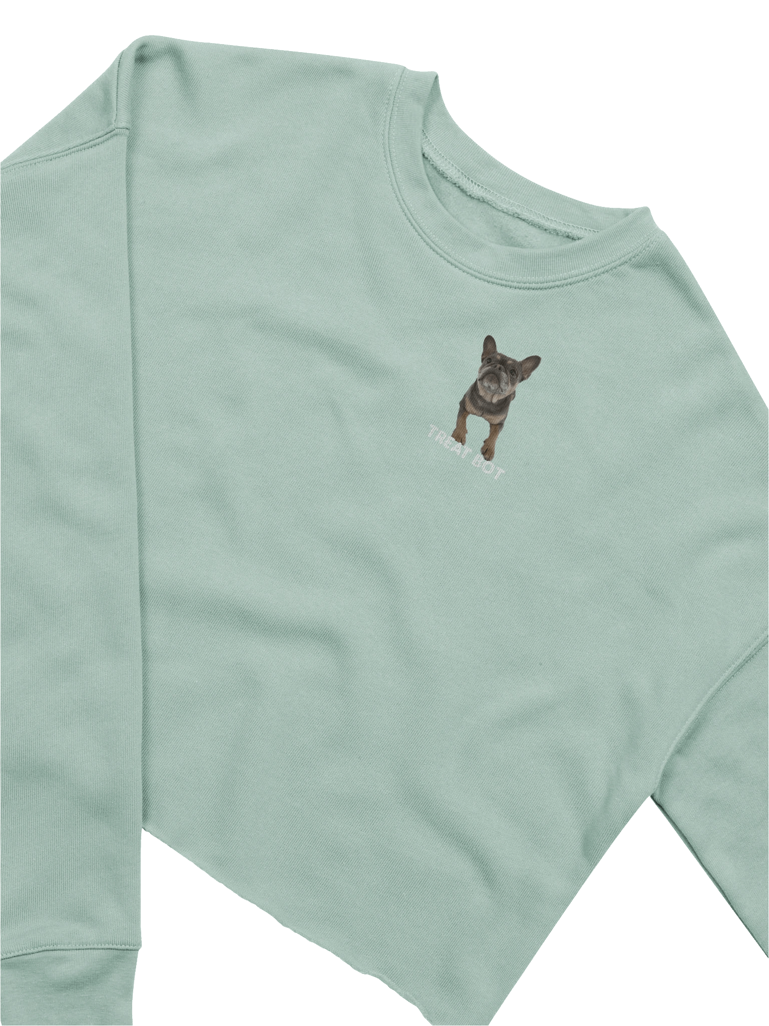 TreatBot OG Crop Top Sweatshirt product image (3)