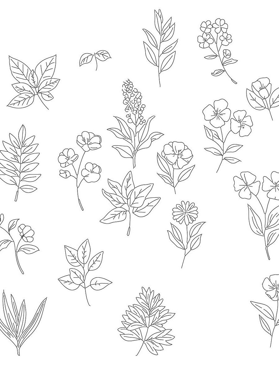 Botanical SVG Bundle: Hand-Drawn Floral Clipart & Leaf Doodles product image (5)