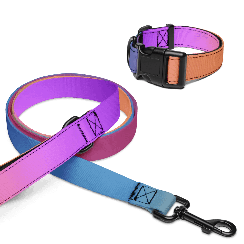 Degen Doggo product image (6)