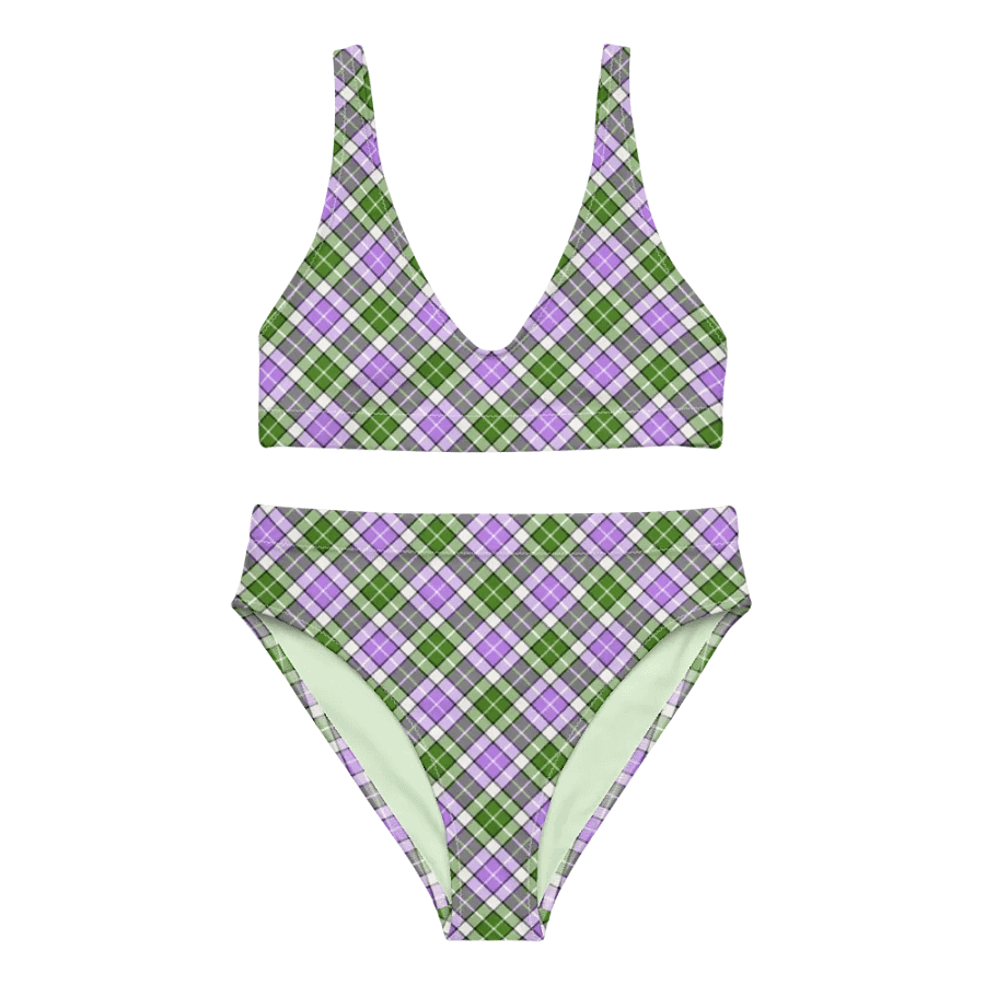 Lavender and Green Plaid Bikini product image (2)