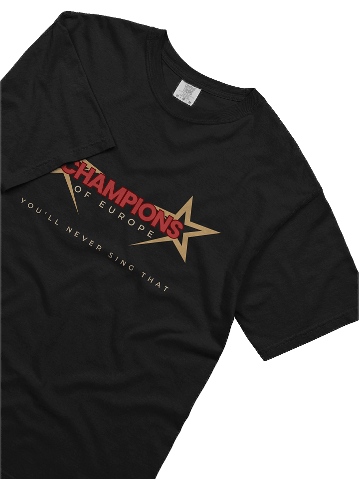 Champions T- Shirt product image (2)