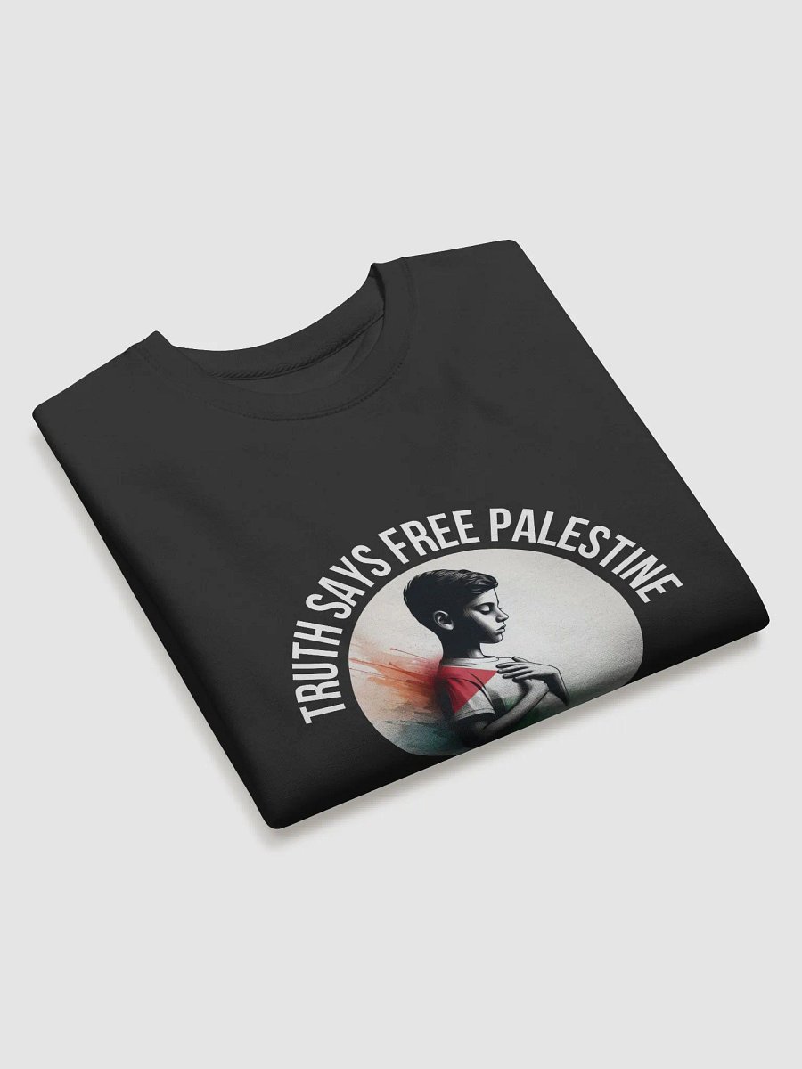 Americana Vibes Premium Sweatshirt | Evil fears truth, and truth says: Free Palestine. product image (17)