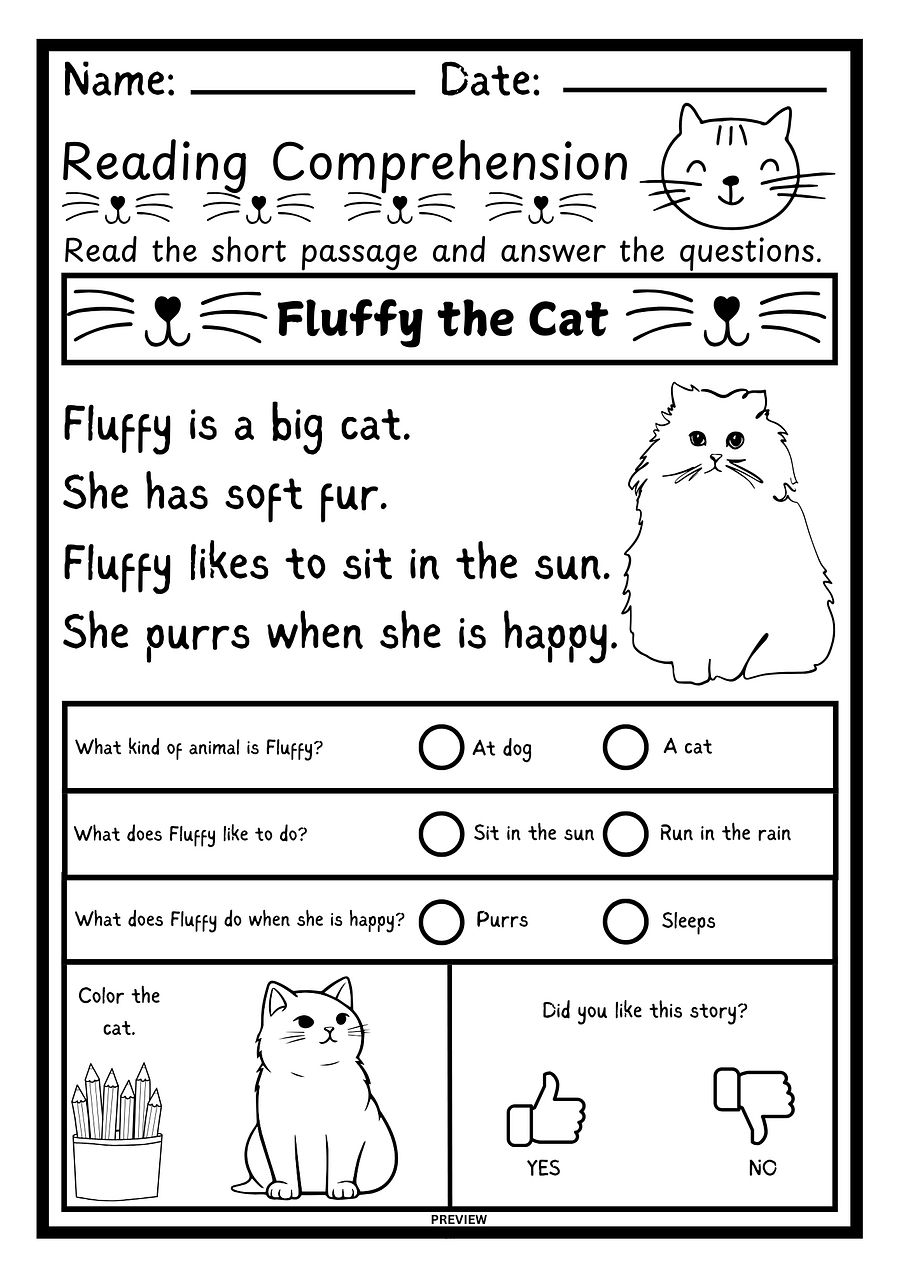 Fluffy the Cat - Kindergarten Reading Comprehension Worksheet product image (1)