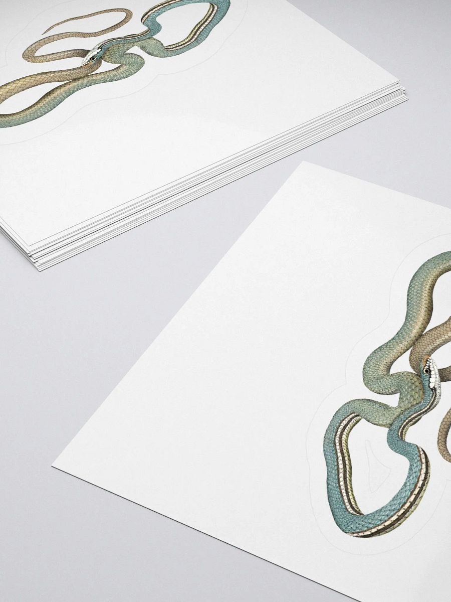 Die-Cut Sticker – Sonoran Whipsnake product image (4)
