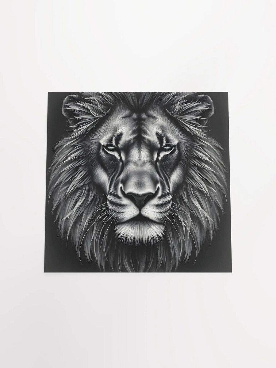 Lion product image (20)