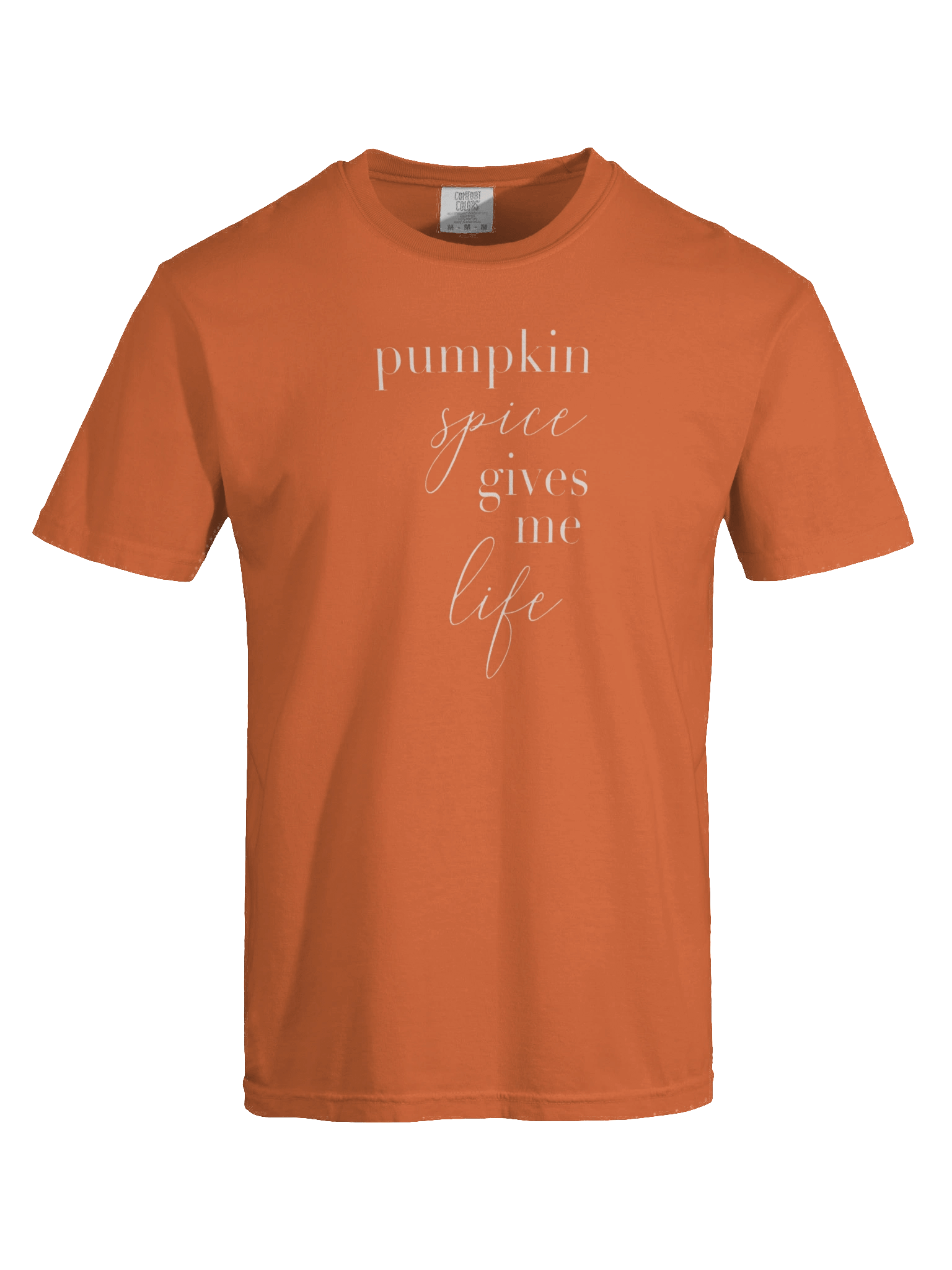 Pumpkin Spice Life Tee product image (7)