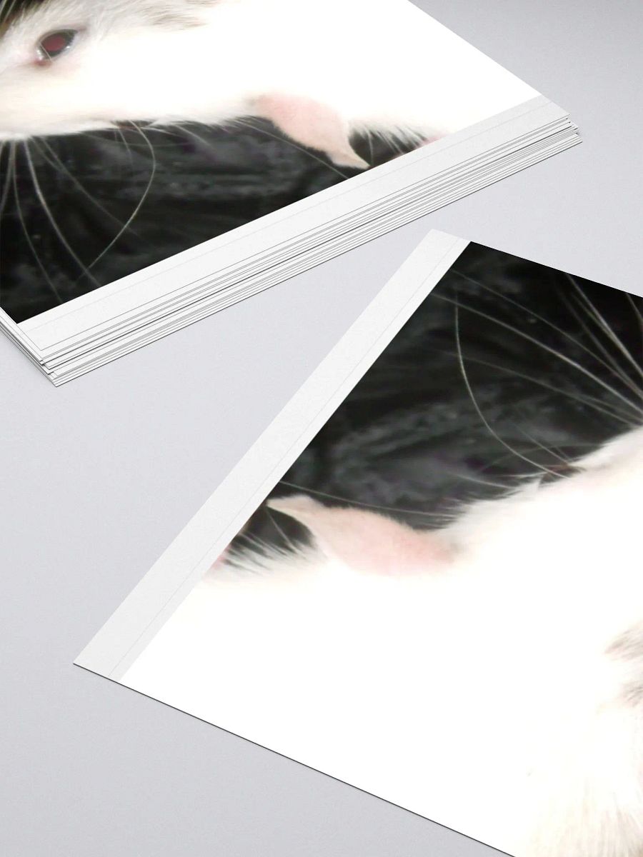 Black-eyed-white Dumbo rat sticker product image (11)