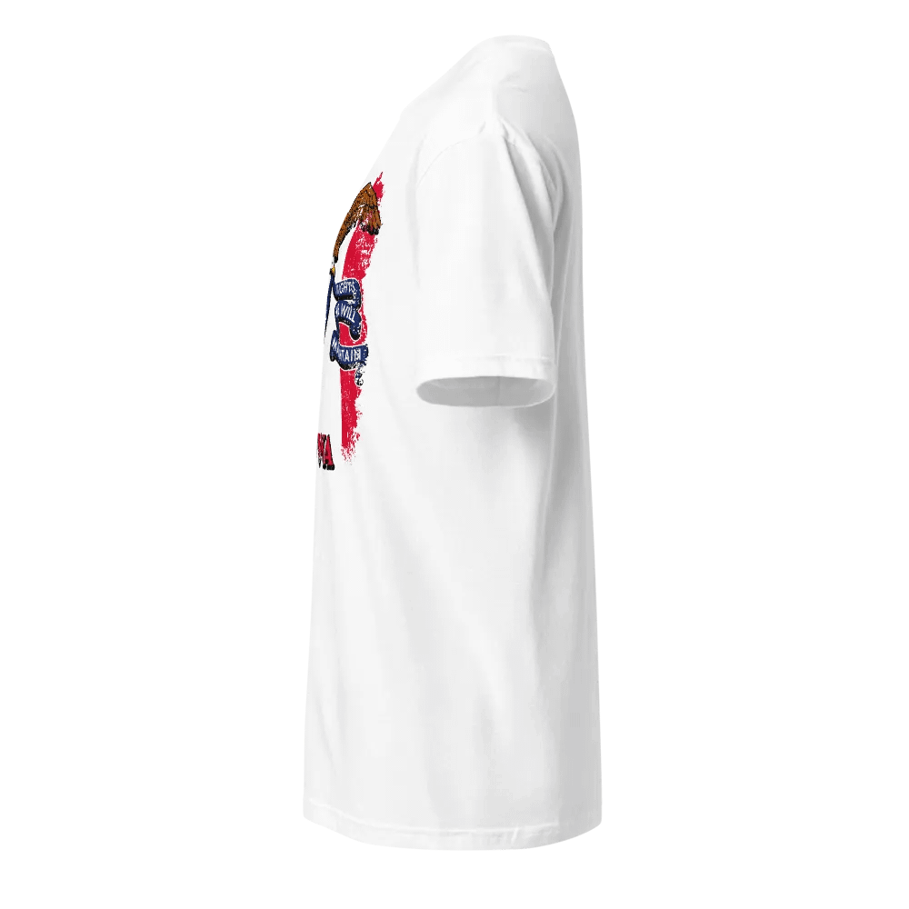 Iowa State Flag product image (3)