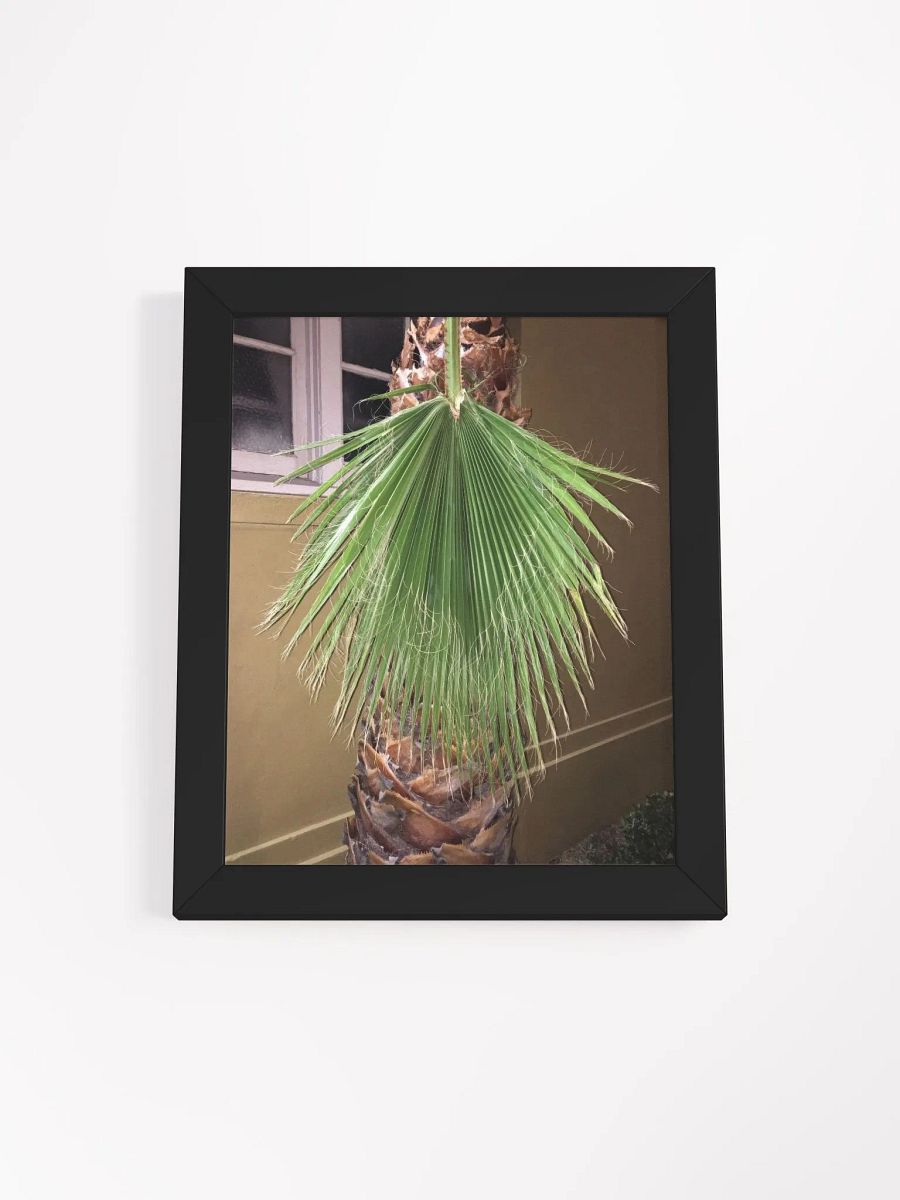 Lura product image (1)
