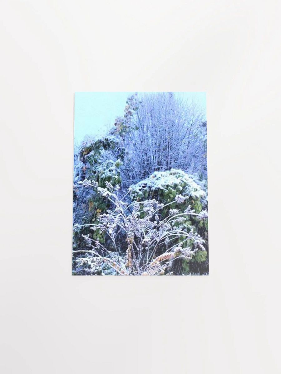 Georgia Winter product image (49)
