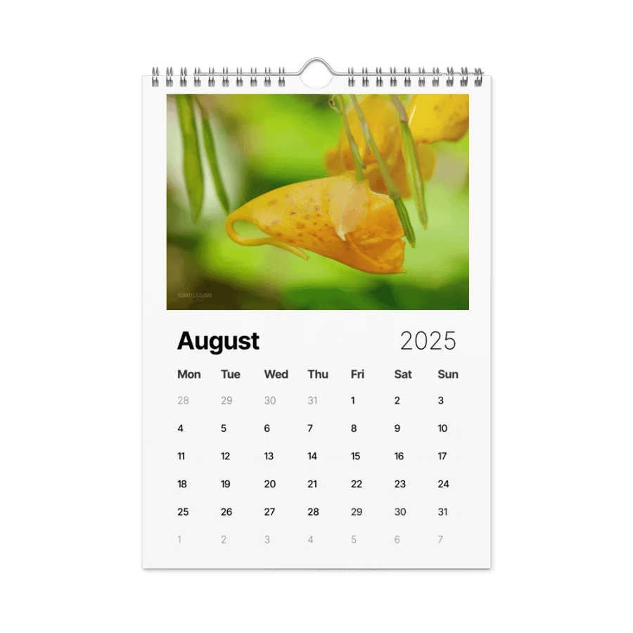 Pure Colors 2025 Wall Calendar product image (9)
