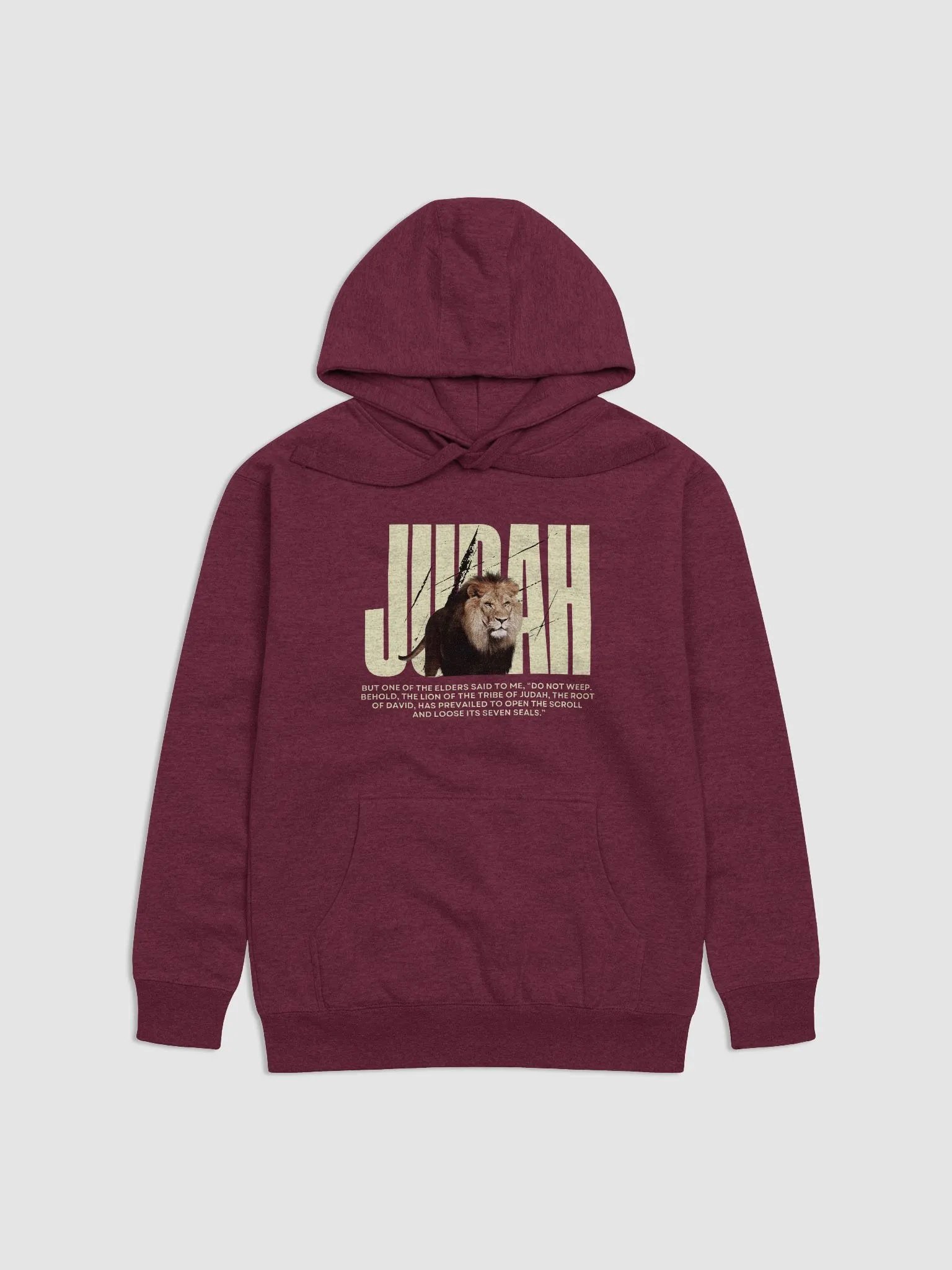 Lion of Judah Premium Hoodie product image (1)