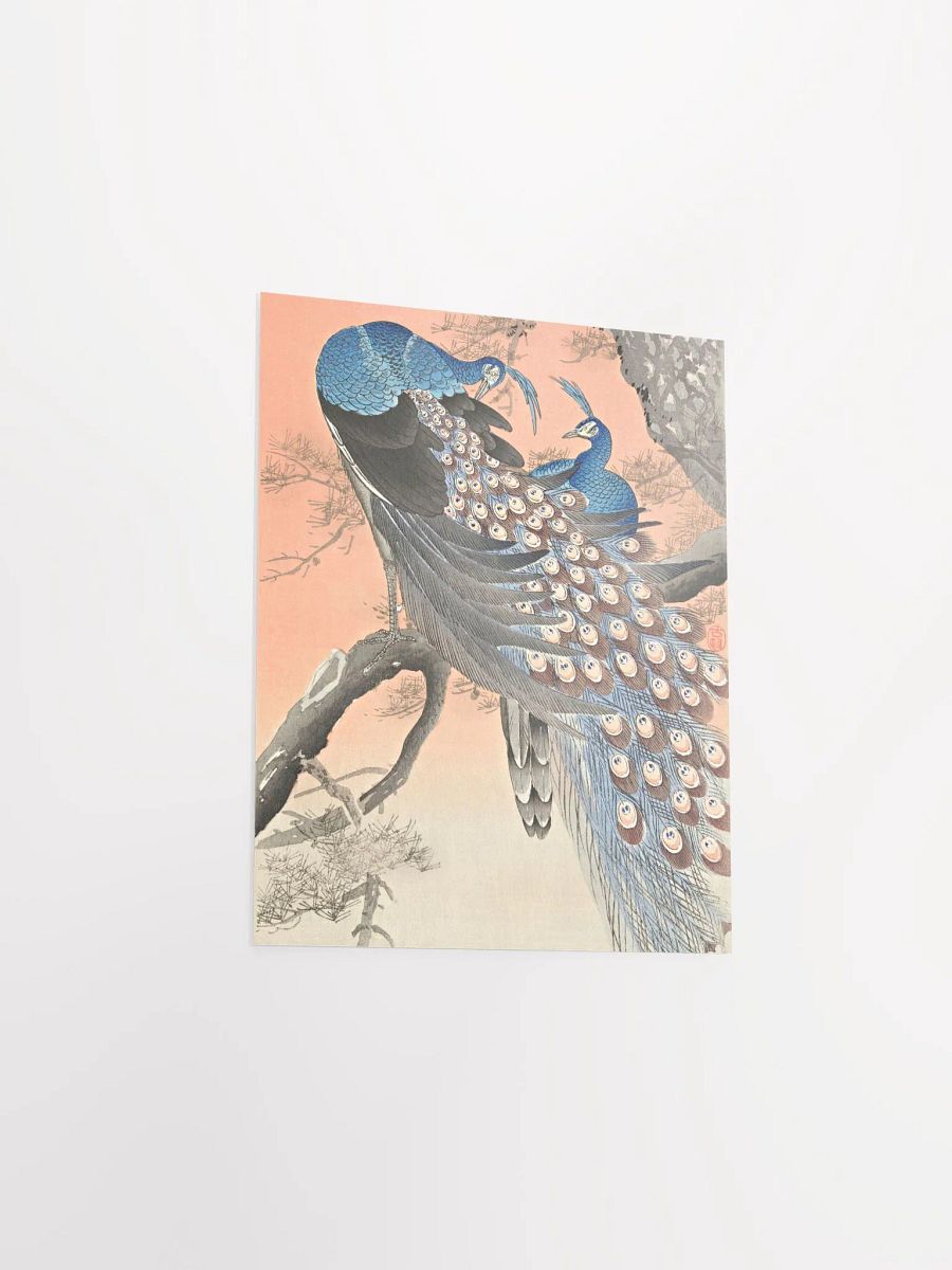 Two Peacocks on Tree Branch (1900 - 1930) by Ohara Koson product image (12)