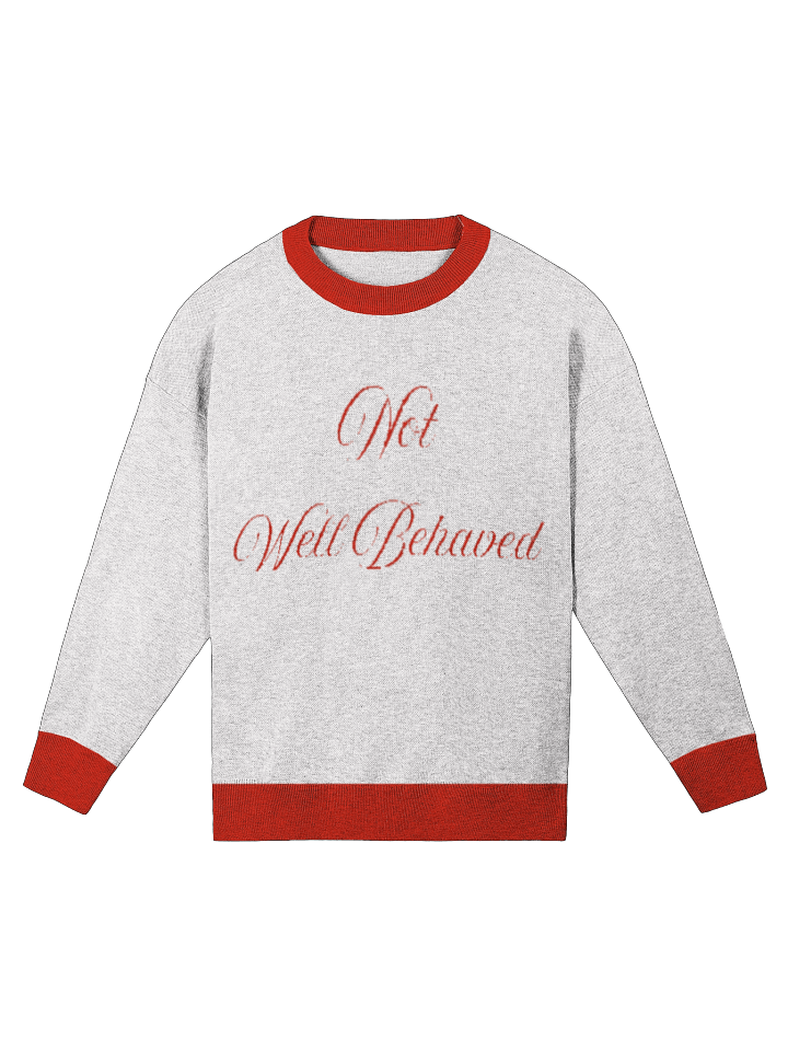 Not Well Behaved - Sweater product image (2)