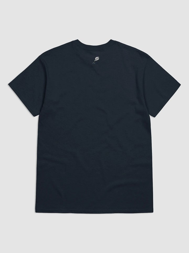 Do Not Disturb: Introvert in Recovery Shirt product image (2)