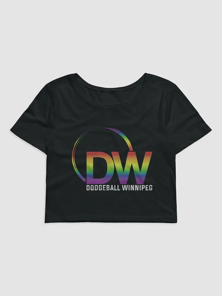 Dodgeball Winnipeg 