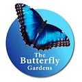 The Butterfly Gardens Tropical Butterflies Print Shop