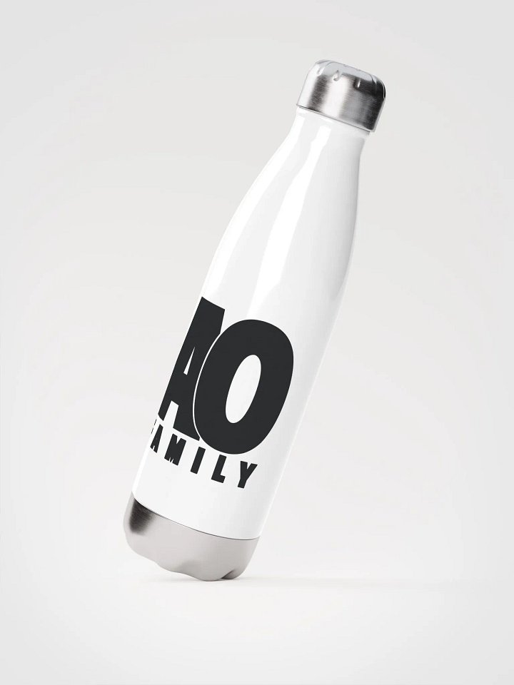 AO Family Stainless Steel Water Bottle product image (2)