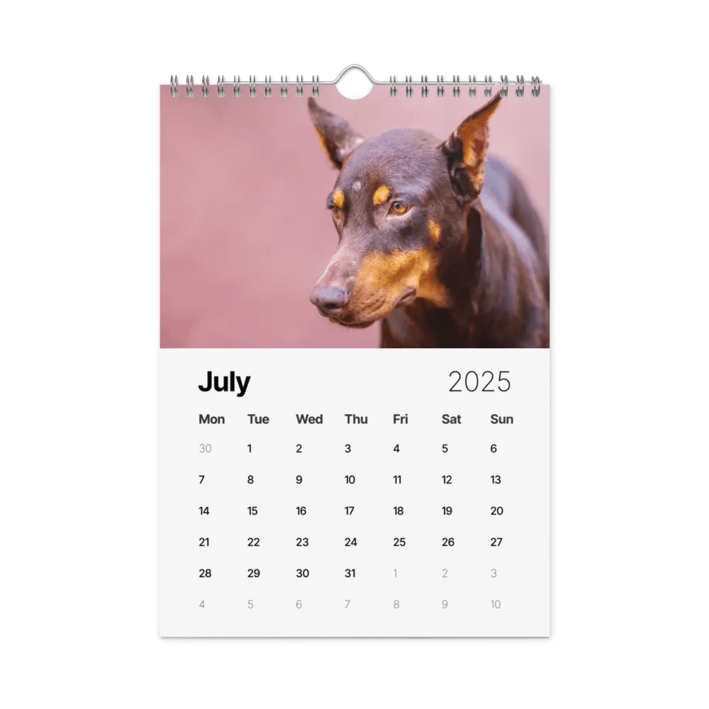 The first year - 2025 Calendar product image (8)