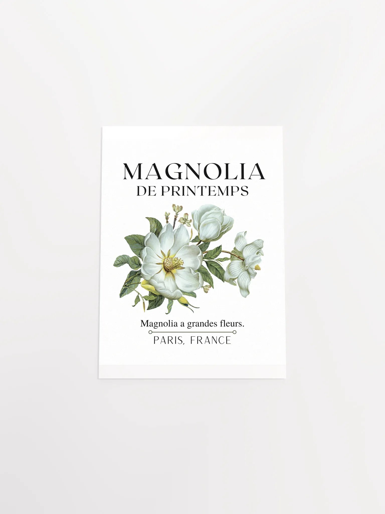 FLORAL PRINT- MAGNOLIA product image (20)