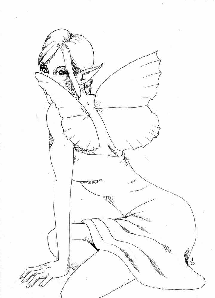 Fairies Coloring Book product image (2)