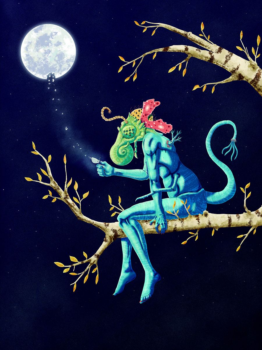 Moonlight Butterfly product image (14)