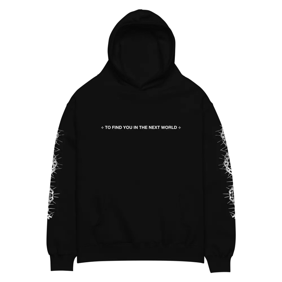 ⊹ TO FIND YOU IN THE NEXT WORLD ⊹ - HOODIE product image (1)
