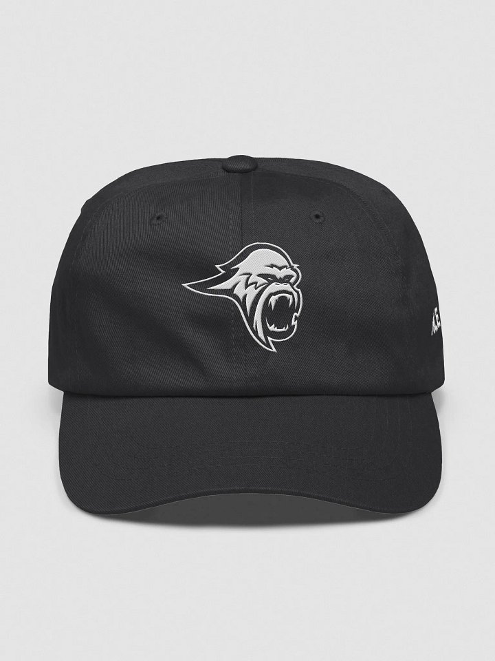 Blizzard Dad Hat product image (1)