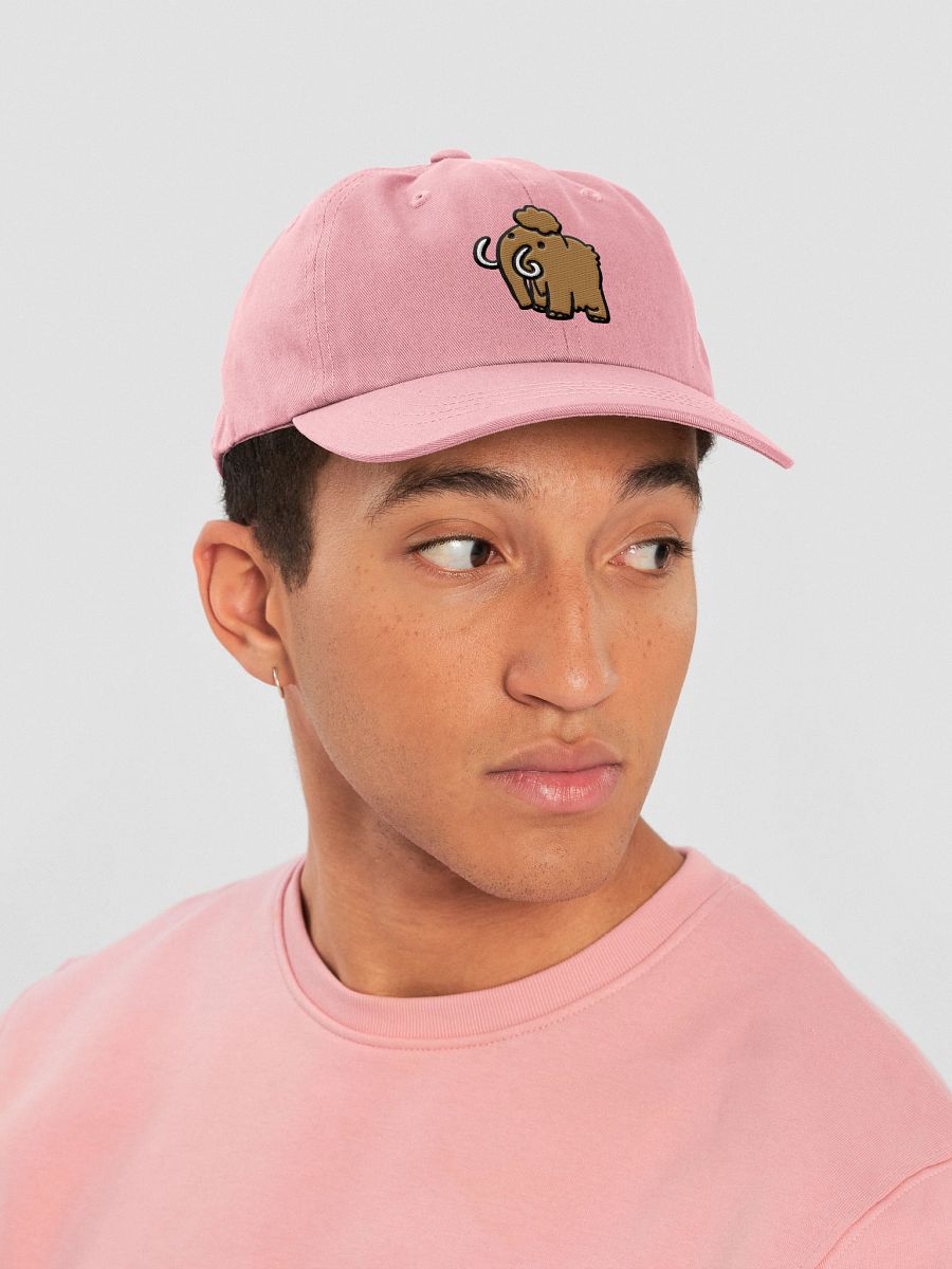 MYEGA COW Cap product image (51)