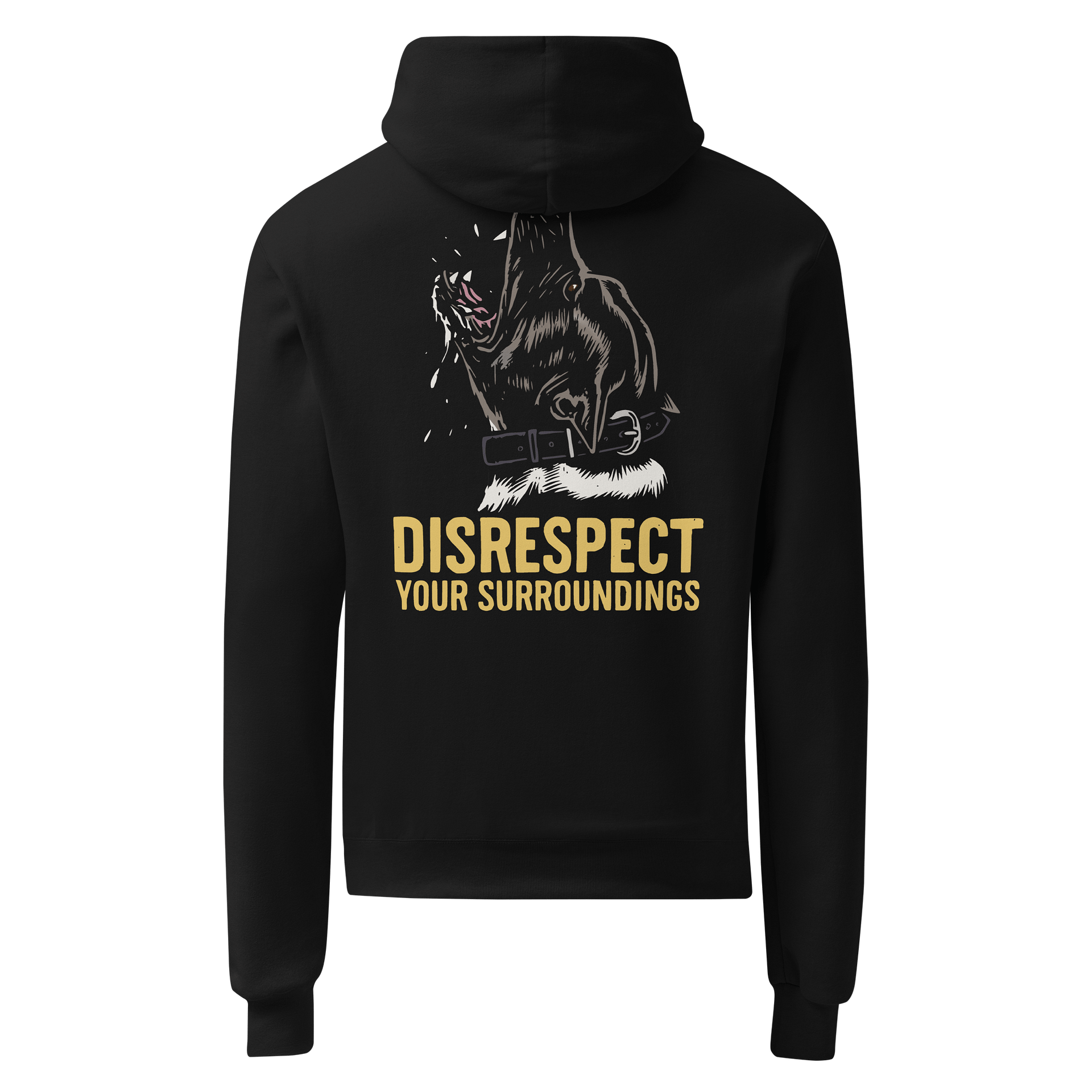 Disrespect Your Surroundings - Champion Hoodie product image (1)