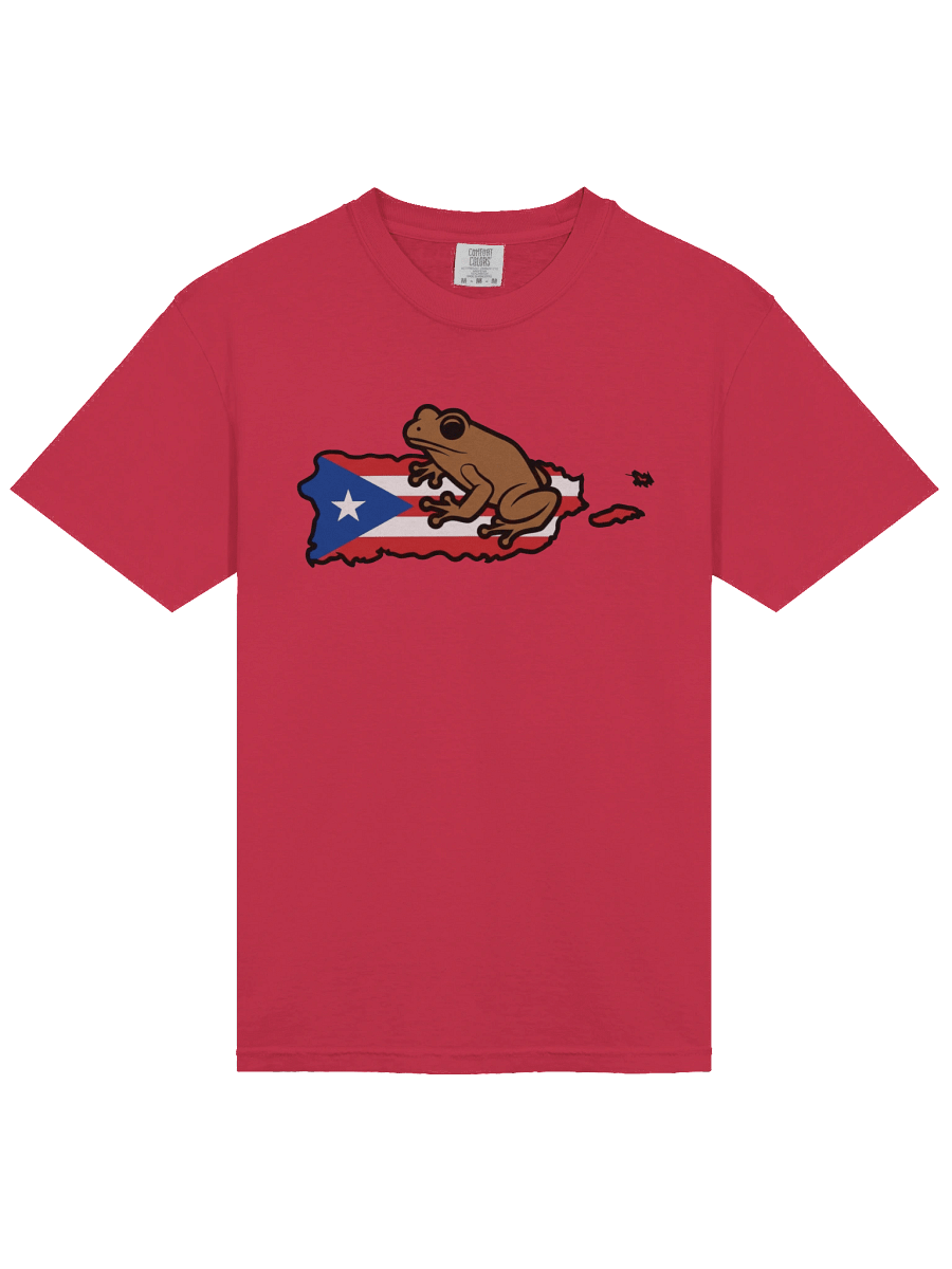 Puerto Rican Flag & Coqui T-Shirt product image (31)