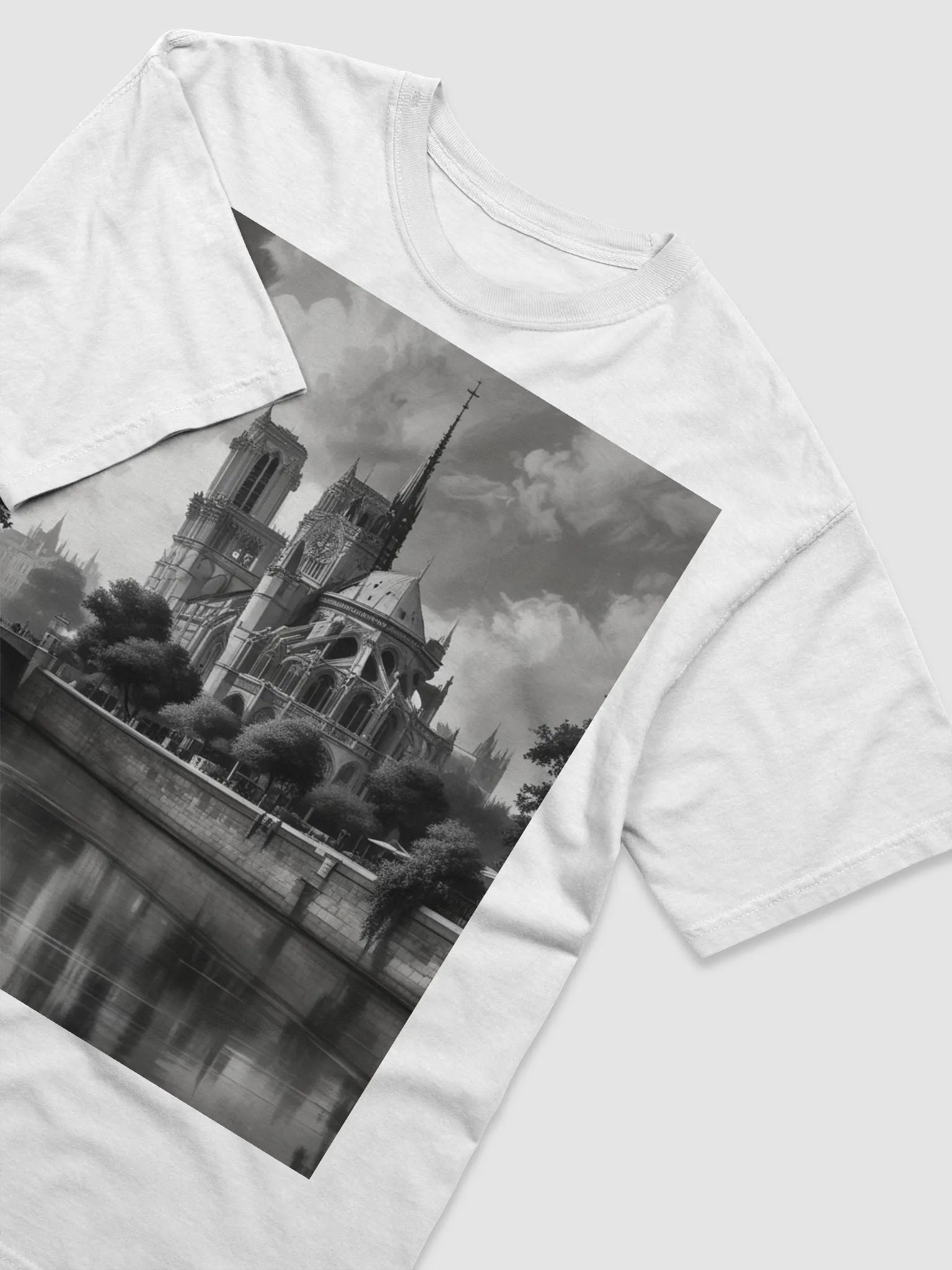 notre dame de paris product image (19)