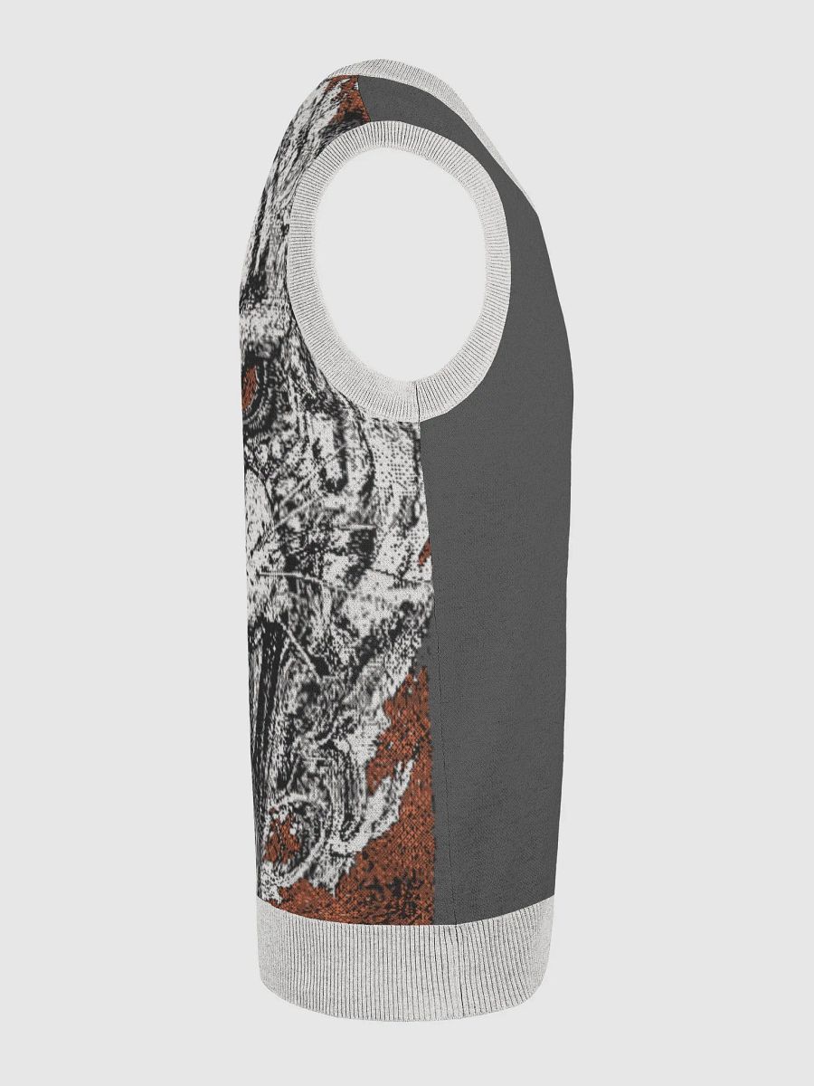 Roaring Tiger III Knitted V-Neck Vest product image (24)