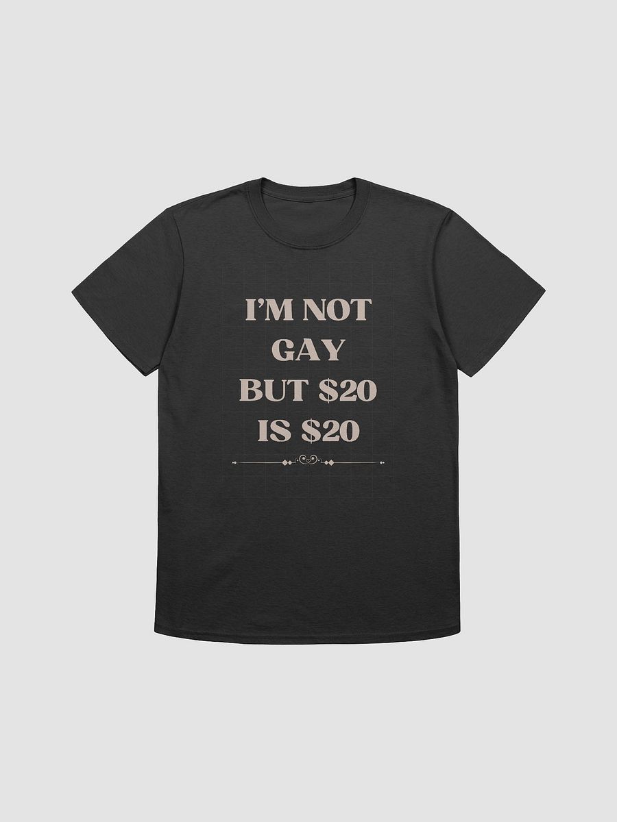 I'm Not Gay But $20 is $20 Unisex T-Shirt V21 product image (1)