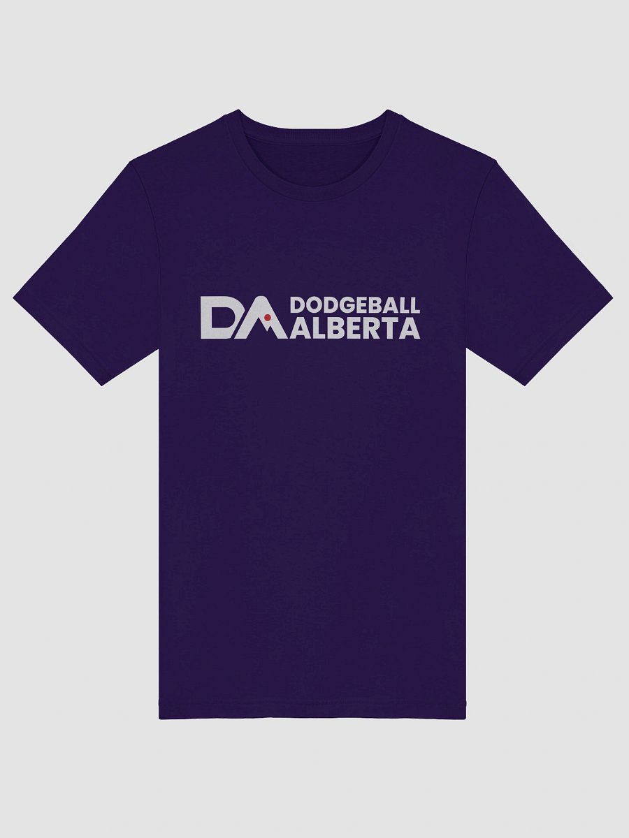 Dodgeball Alberta Logo Release Women's Tee product image (46)