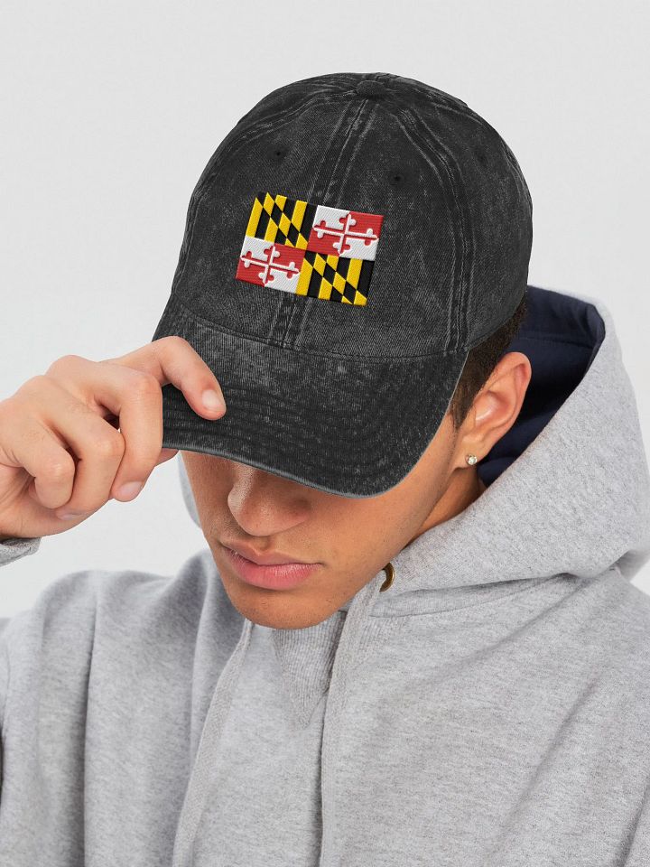 "Maryland" Embroidered Vintage Dad Hat product image (1)