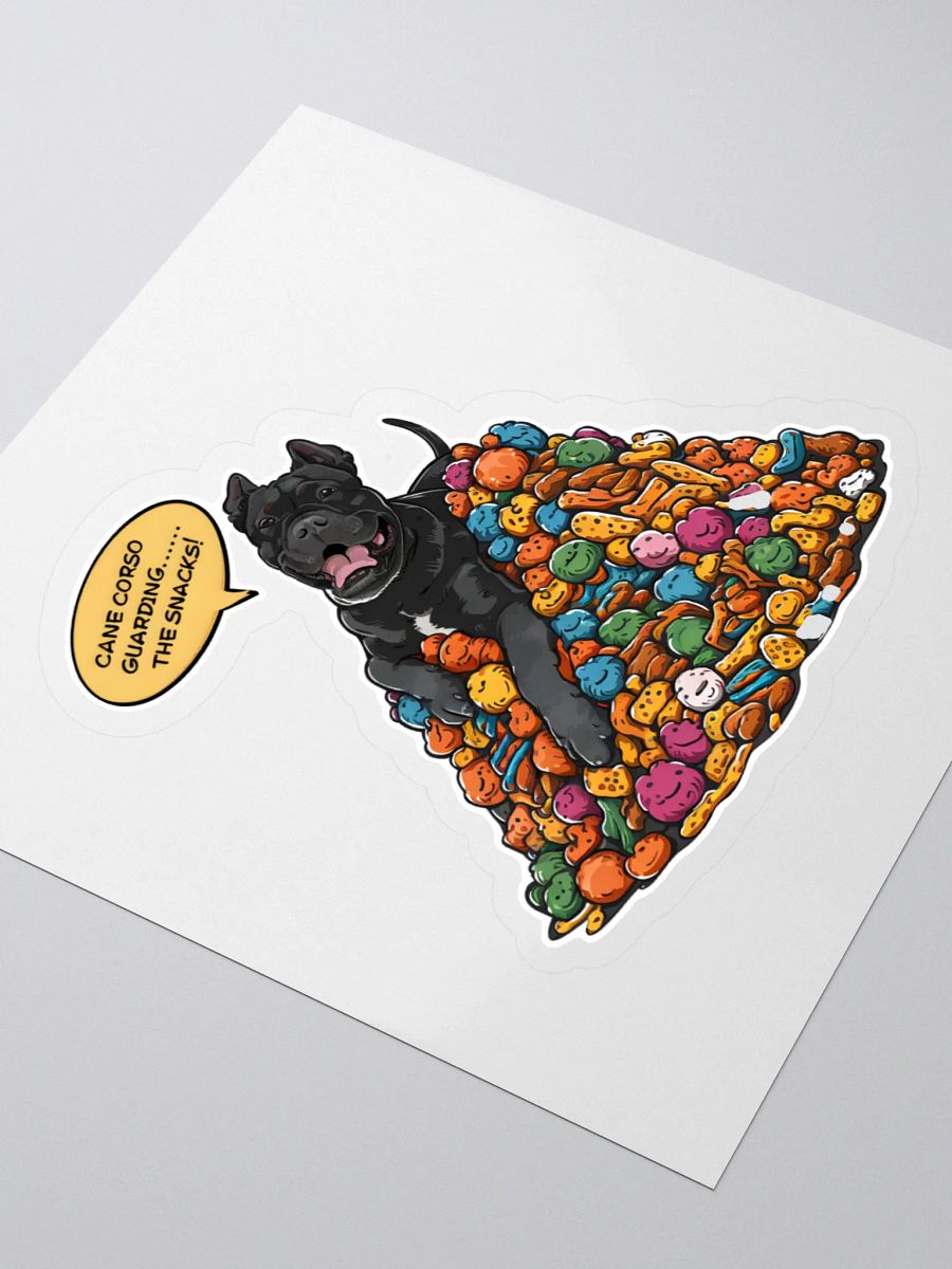 Cane Corso 