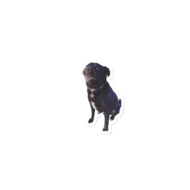 Derp Doge Magnet product image (2)