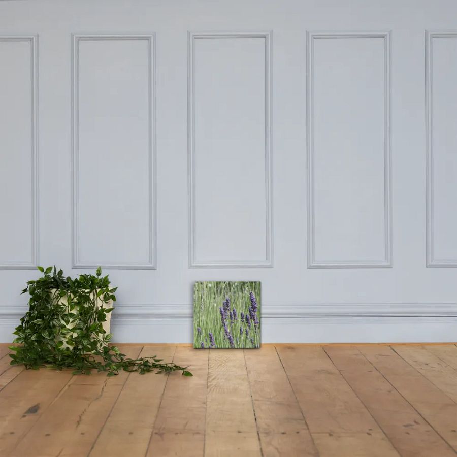 Field of Lavender product image (4)