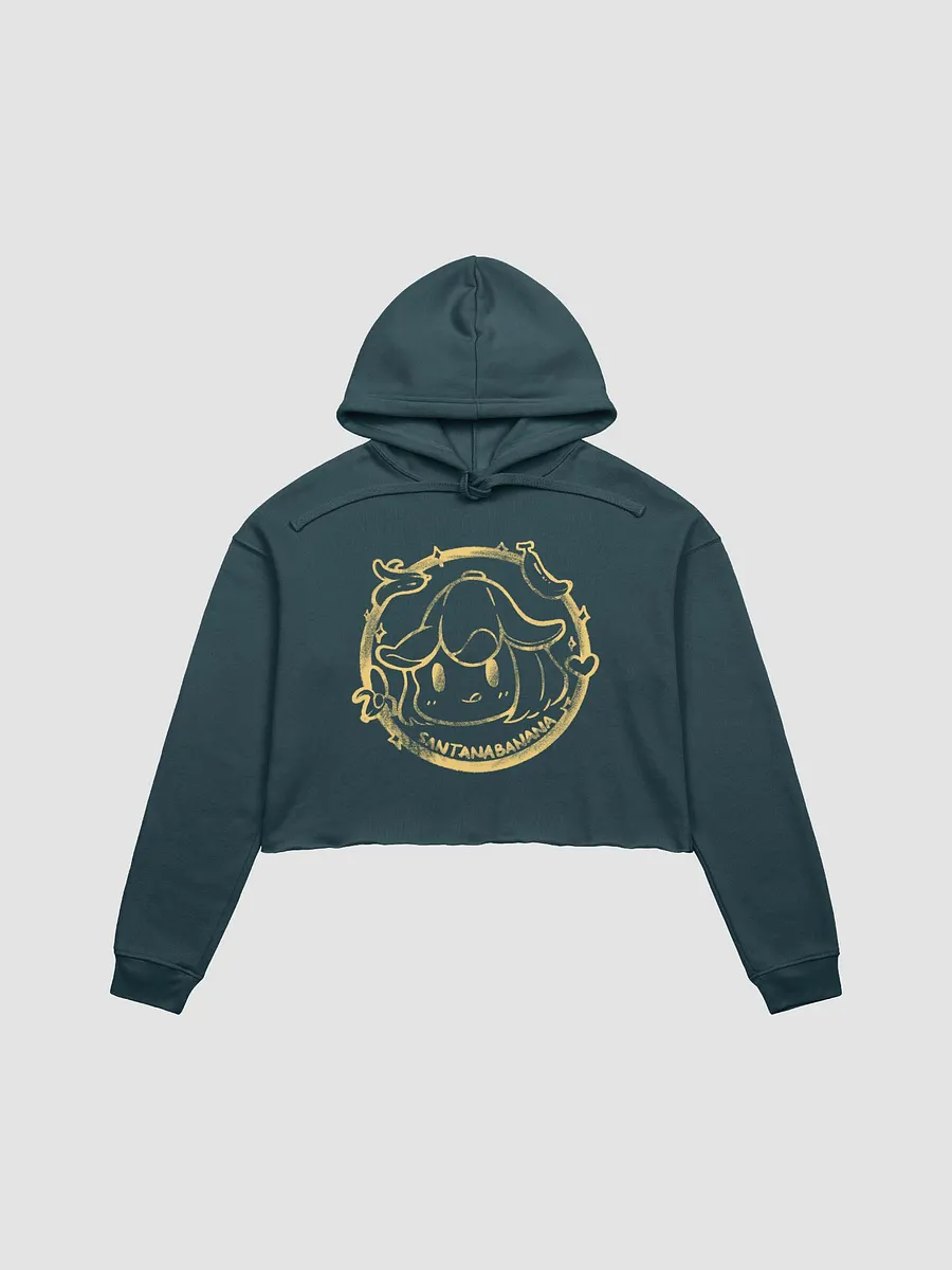 Stamp Cropped Hoodie product image (3)